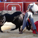 Albacete, 13 de mayo de 2018. Festival del Cotolengo homenaje a Dámaso González