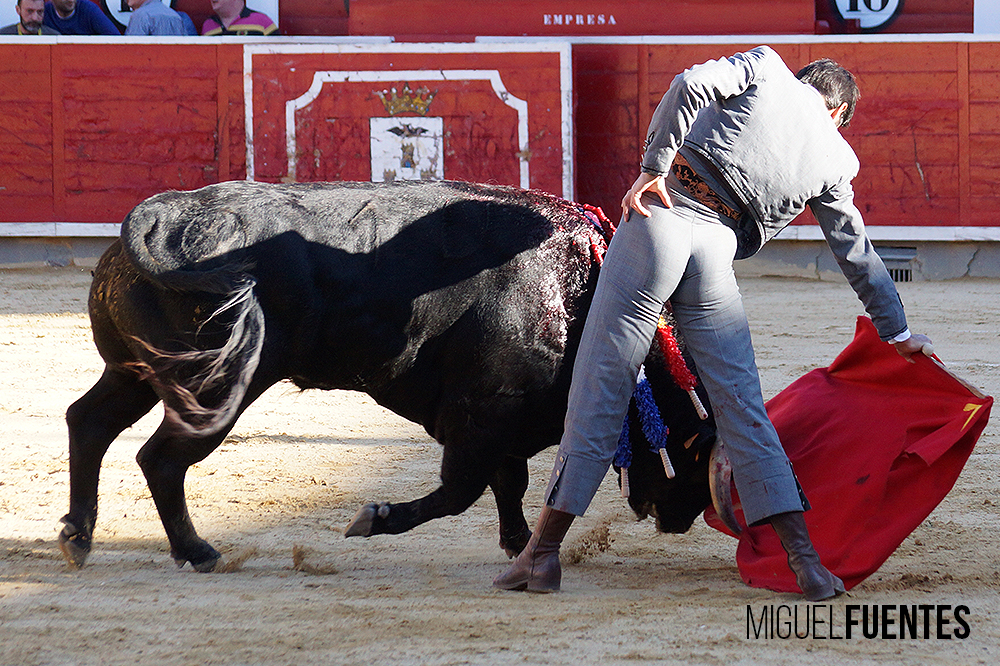Albacete, 13 de mayo de 2018. Festival del Cotolengo homenaje a Dámaso González