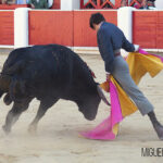 Albacete, 13 de mayo de 2018. Festival del Cotolengo homenaje a Dámaso González
