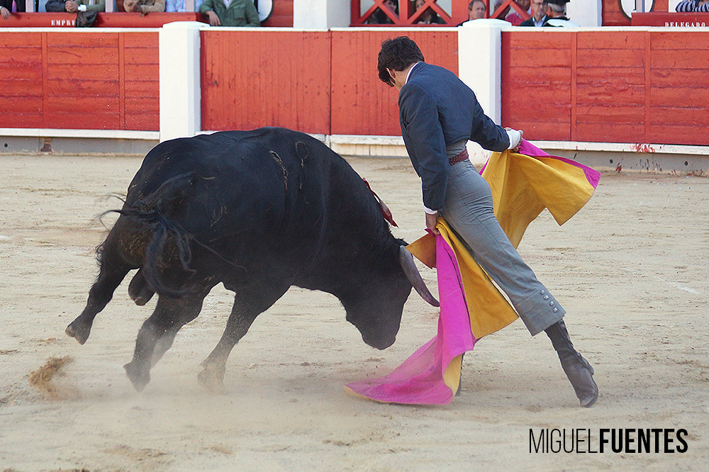 Albacete, 13 de mayo de 2018. Festival del Cotolengo homenaje a Dámaso González