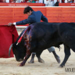 Albacete, 13 de mayo de 2018. Festival del Cotolengo homenaje a Dámaso González