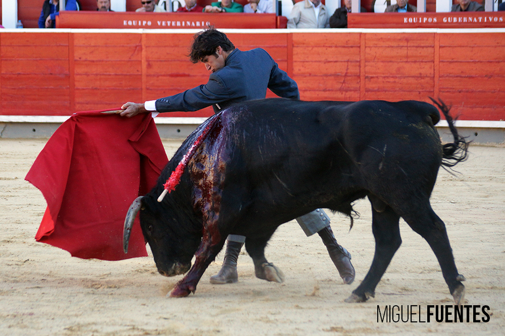 Albacete, 13 de mayo de 2018. Festival del Cotolengo homenaje a Dámaso González