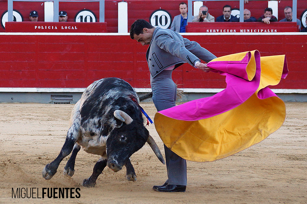 Albacete, 13 de mayo de 2018. Festival del Cotolengo homenaje a Dámaso González