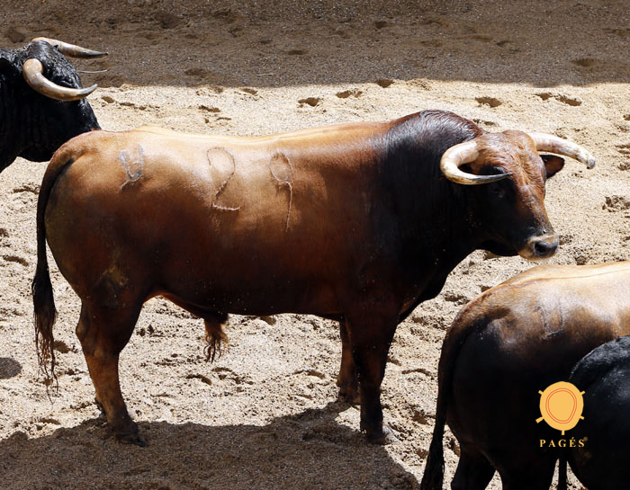 Sorteo, Sevilla 6 de mayo de 2018