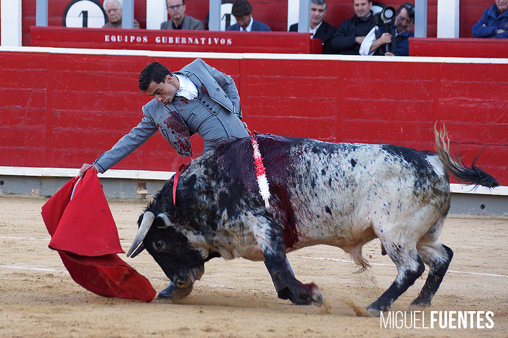 Albacete, 13 de mayo de 2018. Festival del Cotolengo homenaje a Dámaso González