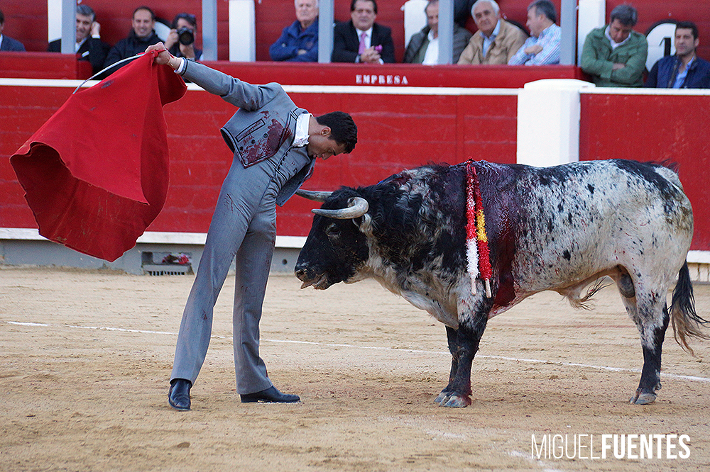 Albacete, 13 de mayo de 2018. Festival del Cotolengo homenaje a Dámaso González