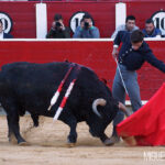Albacete, 13 de mayo de 2018. Festival del Cotolengo homenaje a Dámaso González