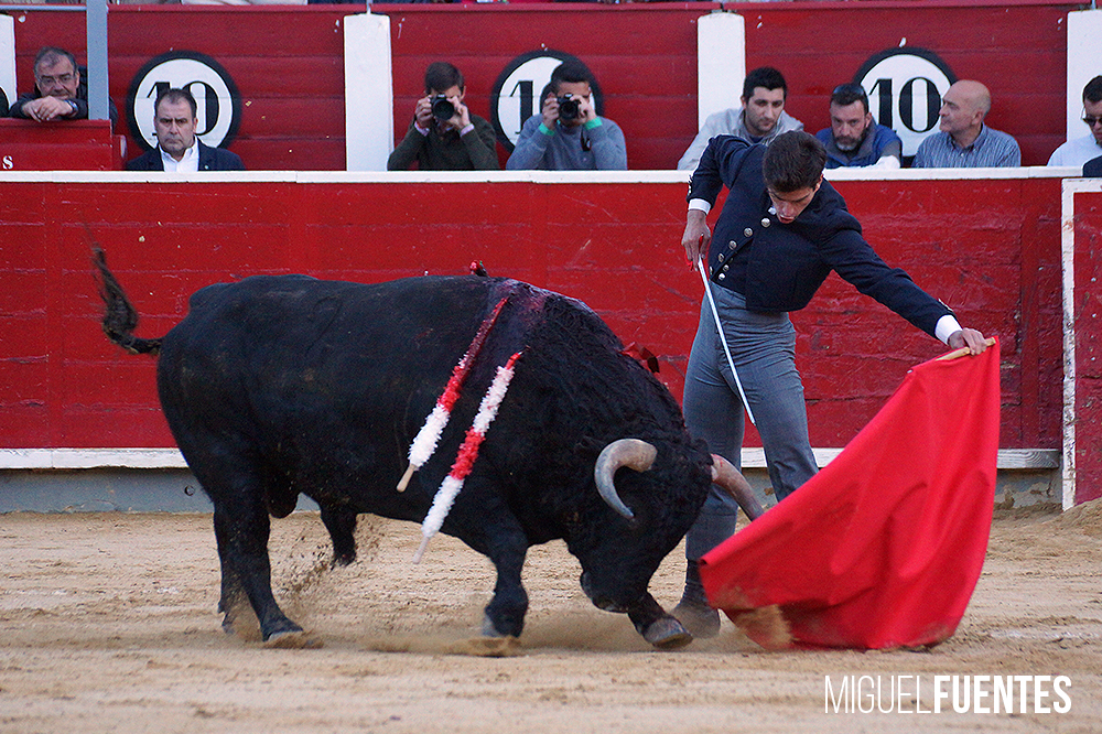 Albacete, 13 de mayo de 2018. Festival del Cotolengo homenaje a Dámaso González