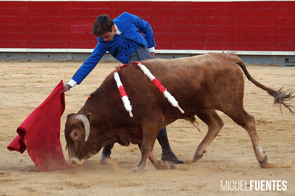 Albacete, 13 de mayo de 2018. Festival del Cotolengo homenaje a Dámaso González