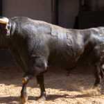 Sorteo, Madrid 13 de mayo de 2018