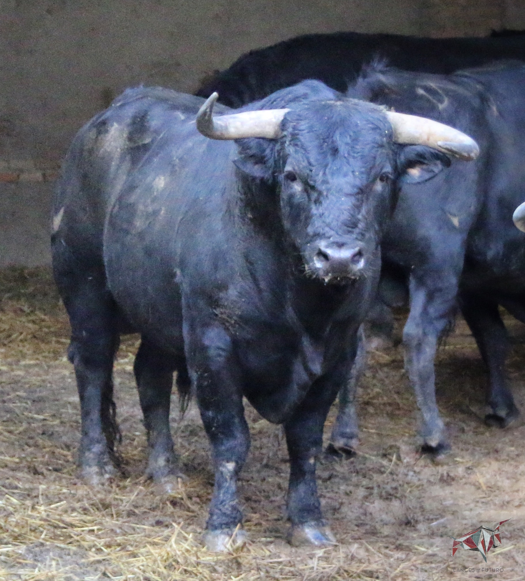 Madrid, San Isidro, 10 de mayo de 2018. Corrida de Fuente Ymbro