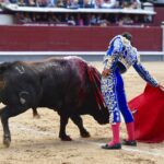 Madrid, San Isidro, martes 22 de mayo de 2018. Toros de El Ventorrillo y uno (5º) de Valdefresno