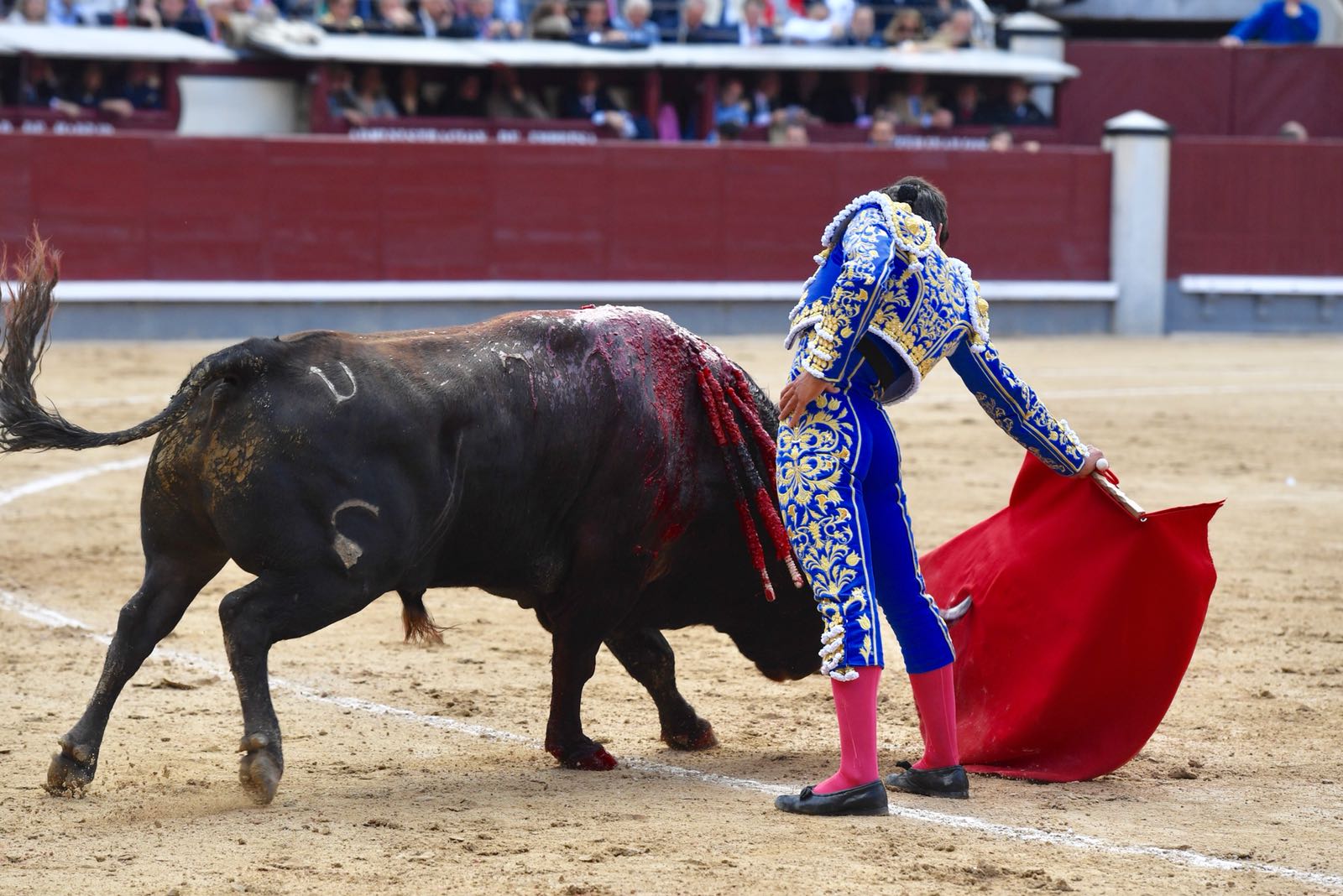 Madrid, San Isidro, martes 22 de mayo de 2018. Toros de El Ventorrillo y uno (5º) de Valdefresno