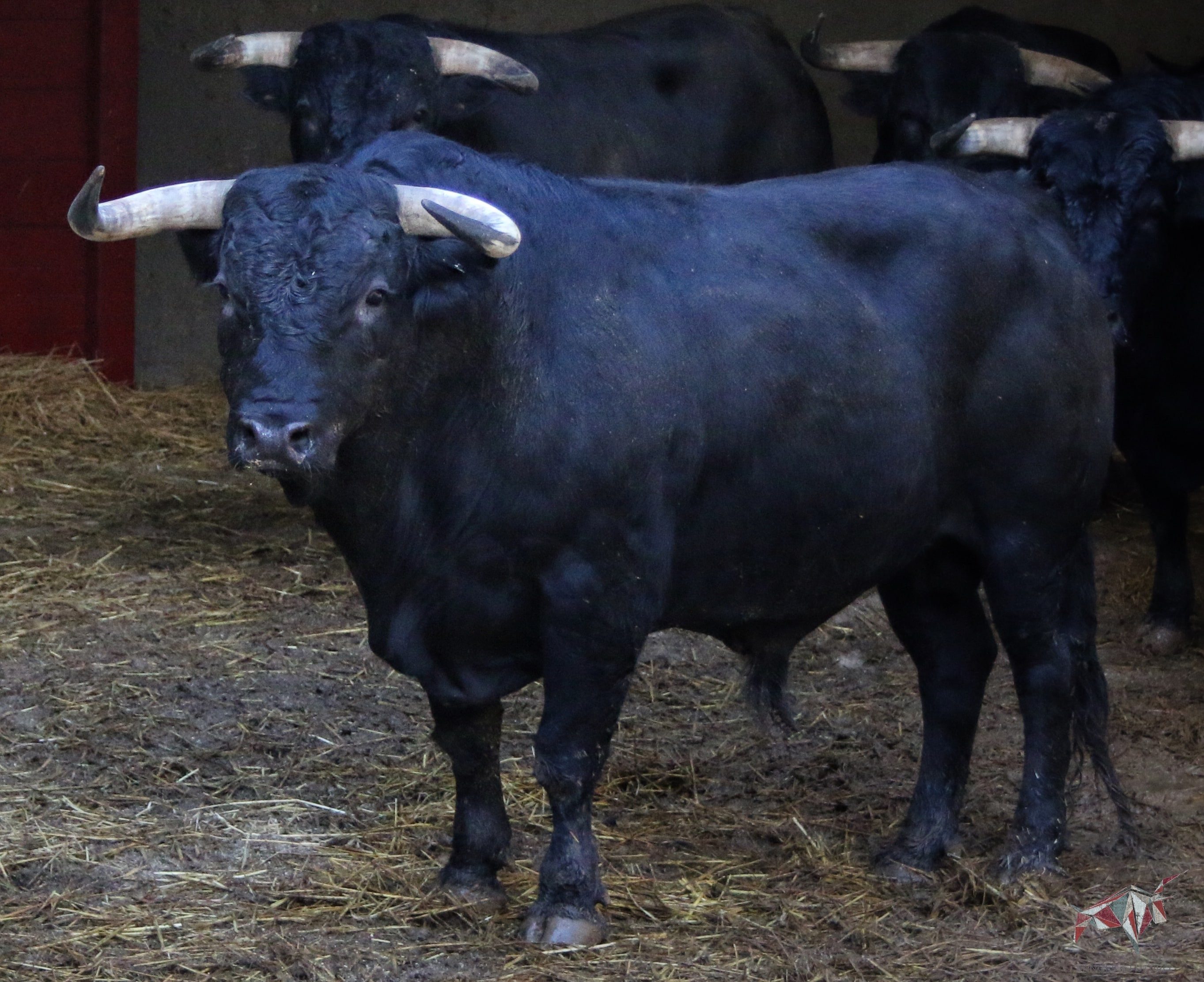 Madrid, San Isidro, 10 de mayo de 2018. Corrida de Fuente Ymbro