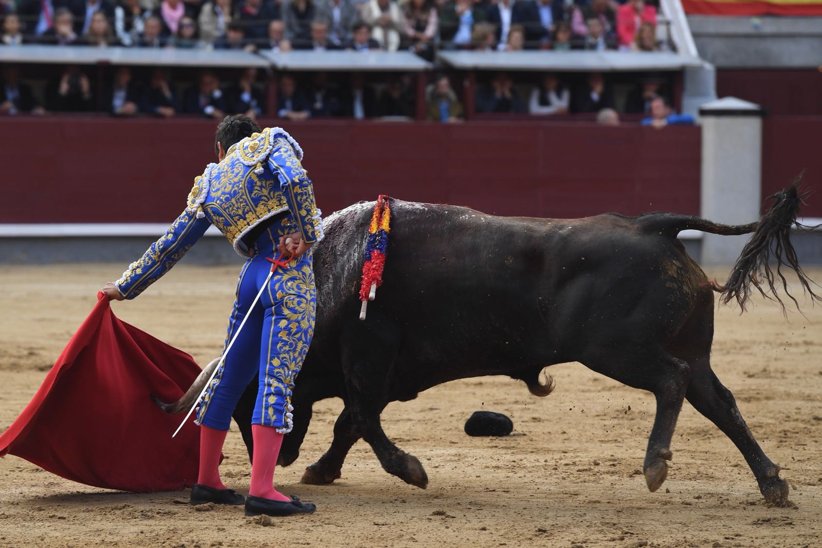 Madrid, San Isidro, martes 22 de mayo de 2018. Toros de El Ventorrillo y uno (5º) de Valdefresno