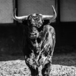 Madrid, San Isidro, martes 22 de mayo de 2018. Toros de El Ventorrillo y uno (5º) de Valdefresno