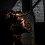 Madrid, San Isidro, 10 de mayo de 2018. Corrida de Fuente Ymbro