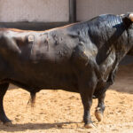 Sorteo, Madrid 19 de mayo de 2018