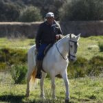 Cuadri, camada de 2018