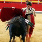 Granada, 31 de mayo de 2018