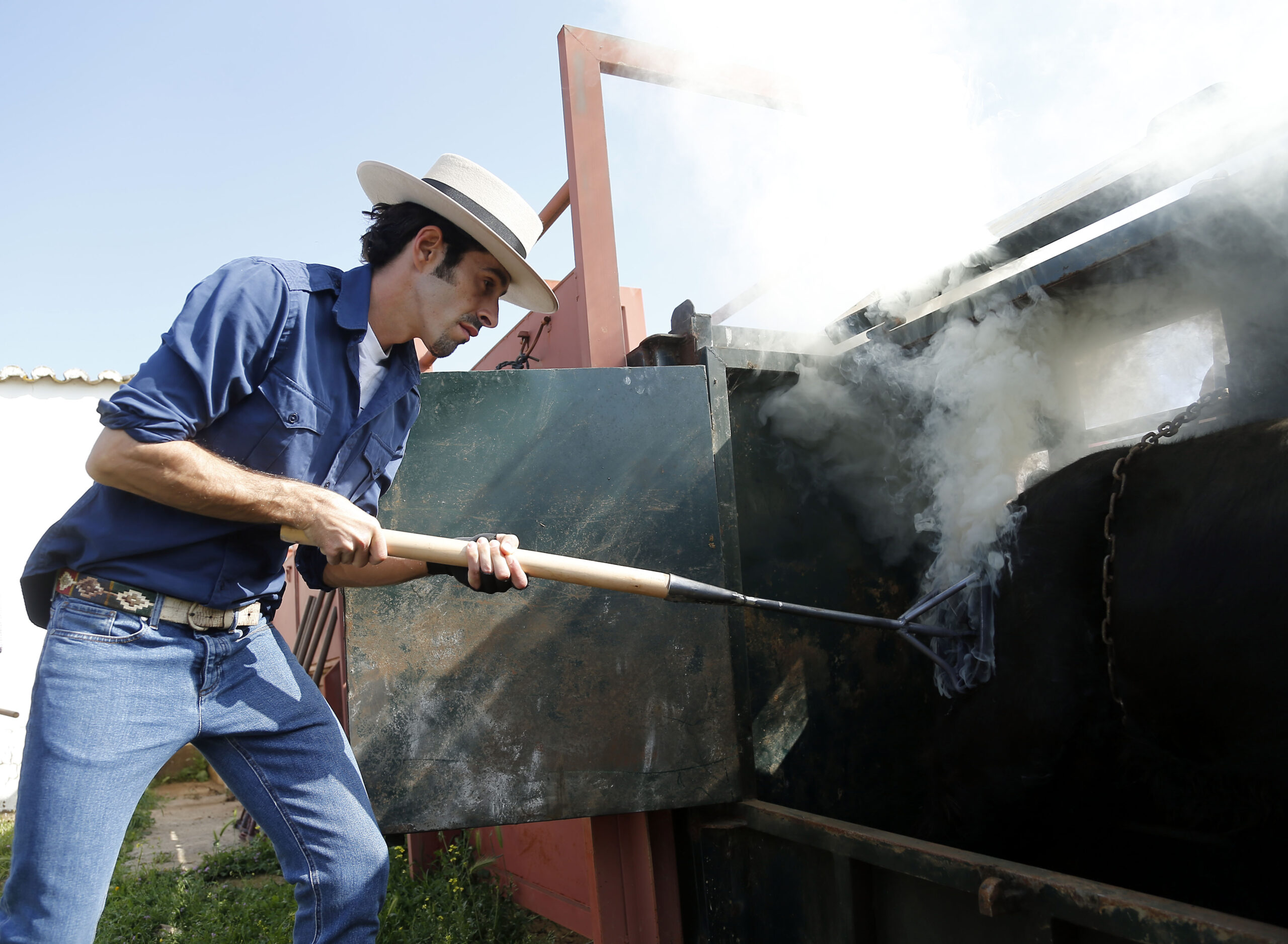 Herradero en casa de Alejandro Talavante. Mayo de 2018