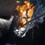 Herradero en casa de Alejandro Talavante. Mayo de 2018