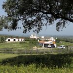 Alejandro Talavante en su finca, mayo de 2018