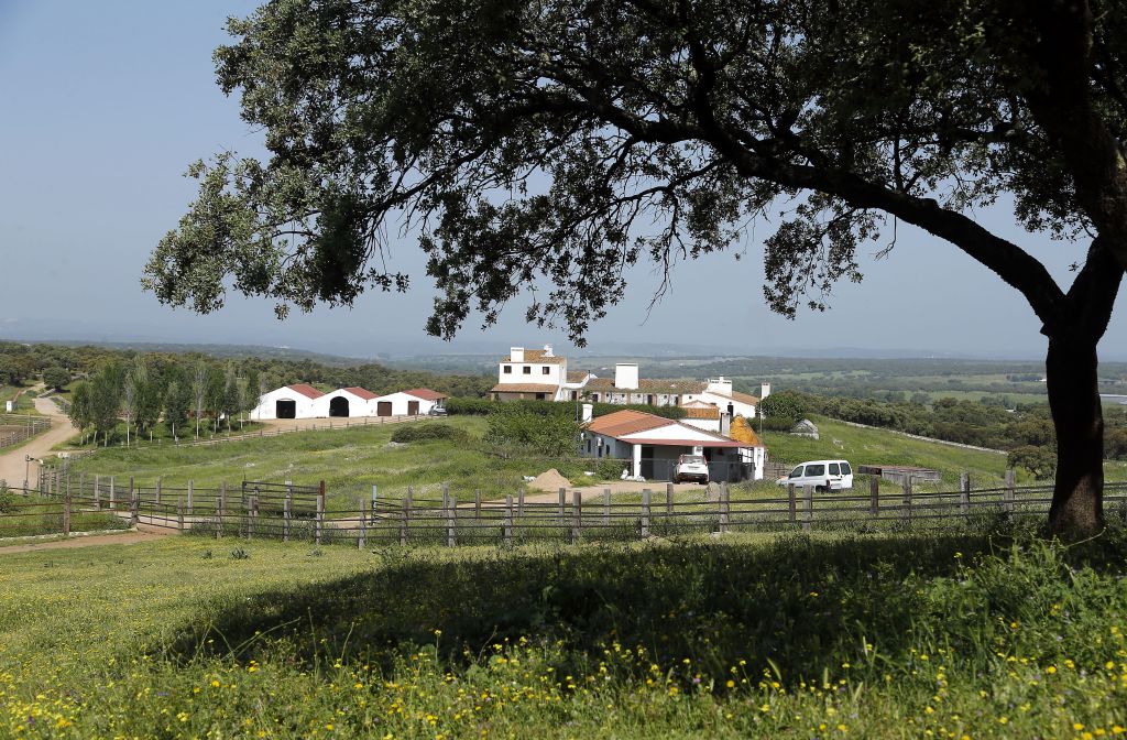Alejandro Talavante en su finca, mayo de 2018