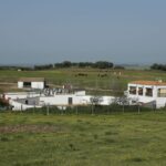 Alejandro Talavante en su finca, mayo de 2018