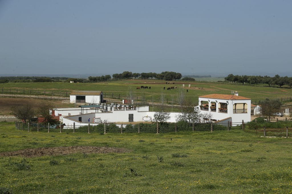 Alejandro Talavante en su finca, mayo de 2018