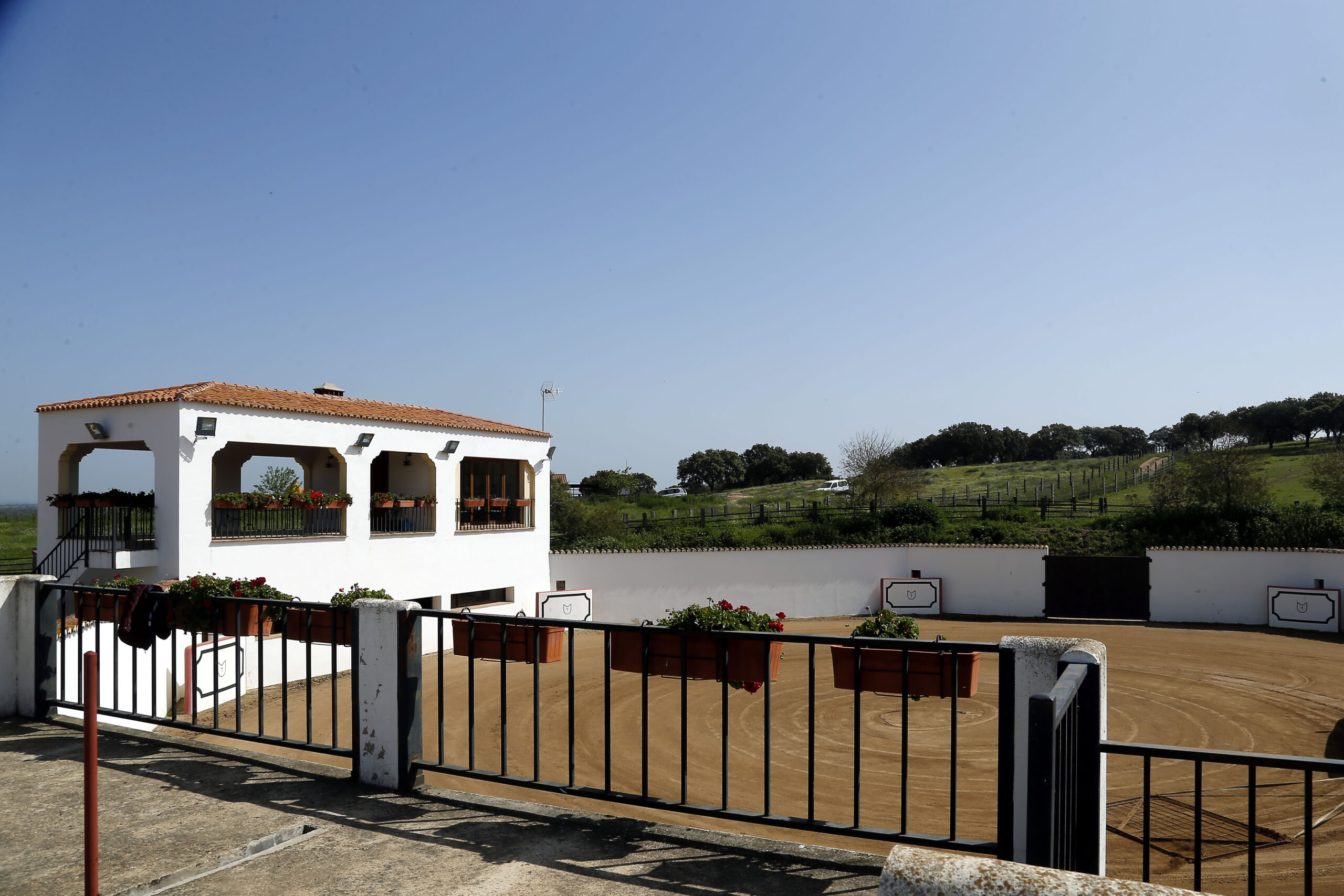 Alejandro Talavante en su finca, mayo de 2018