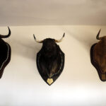 Alejandro Talavante en su finca, mayo de 2018