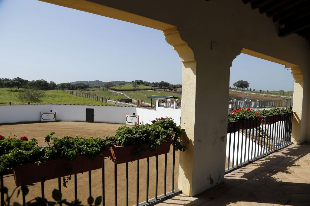 Alejandro Talavante en su finca, mayo de 2018