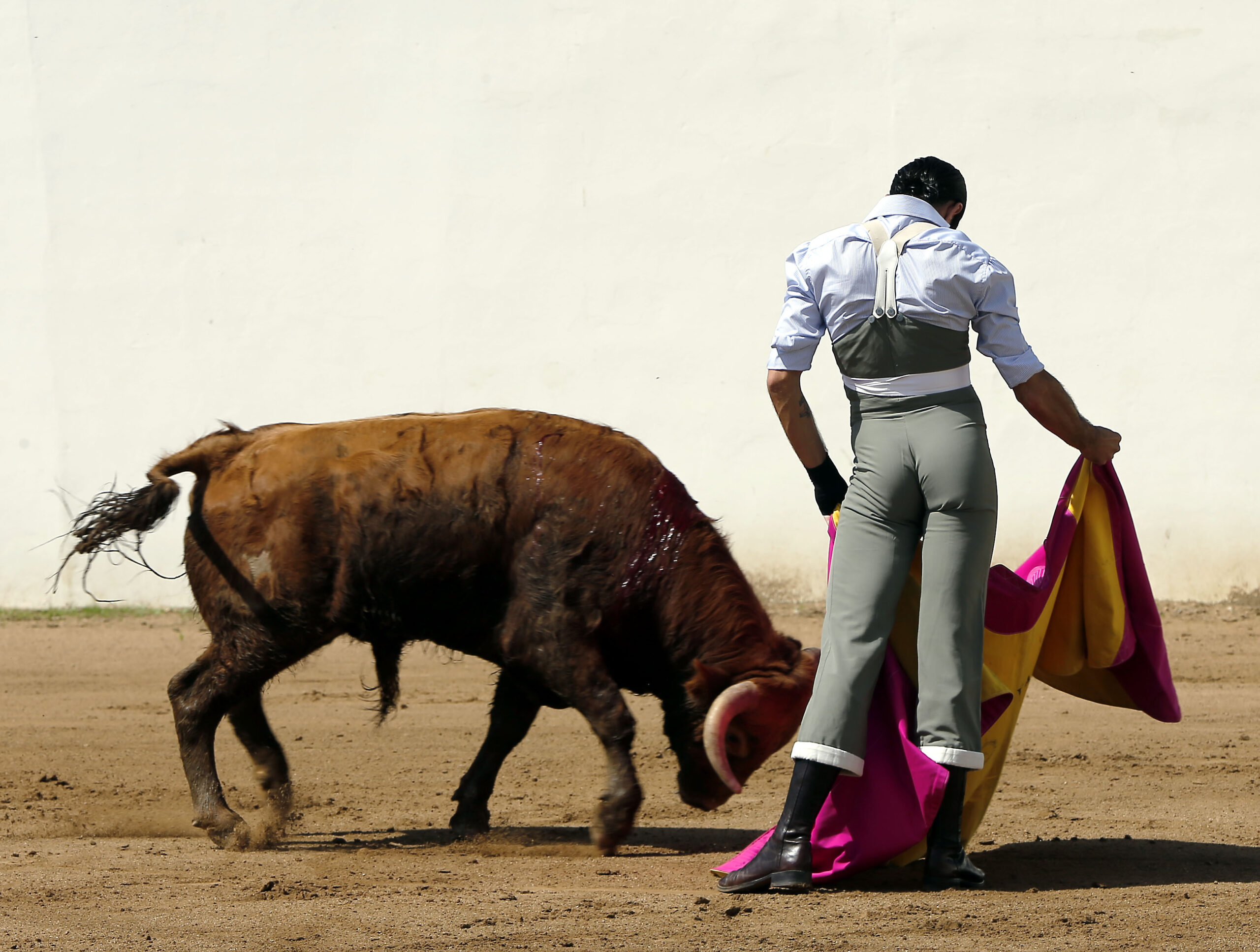 Alejandro Talavante en su finca, mayo de 2018