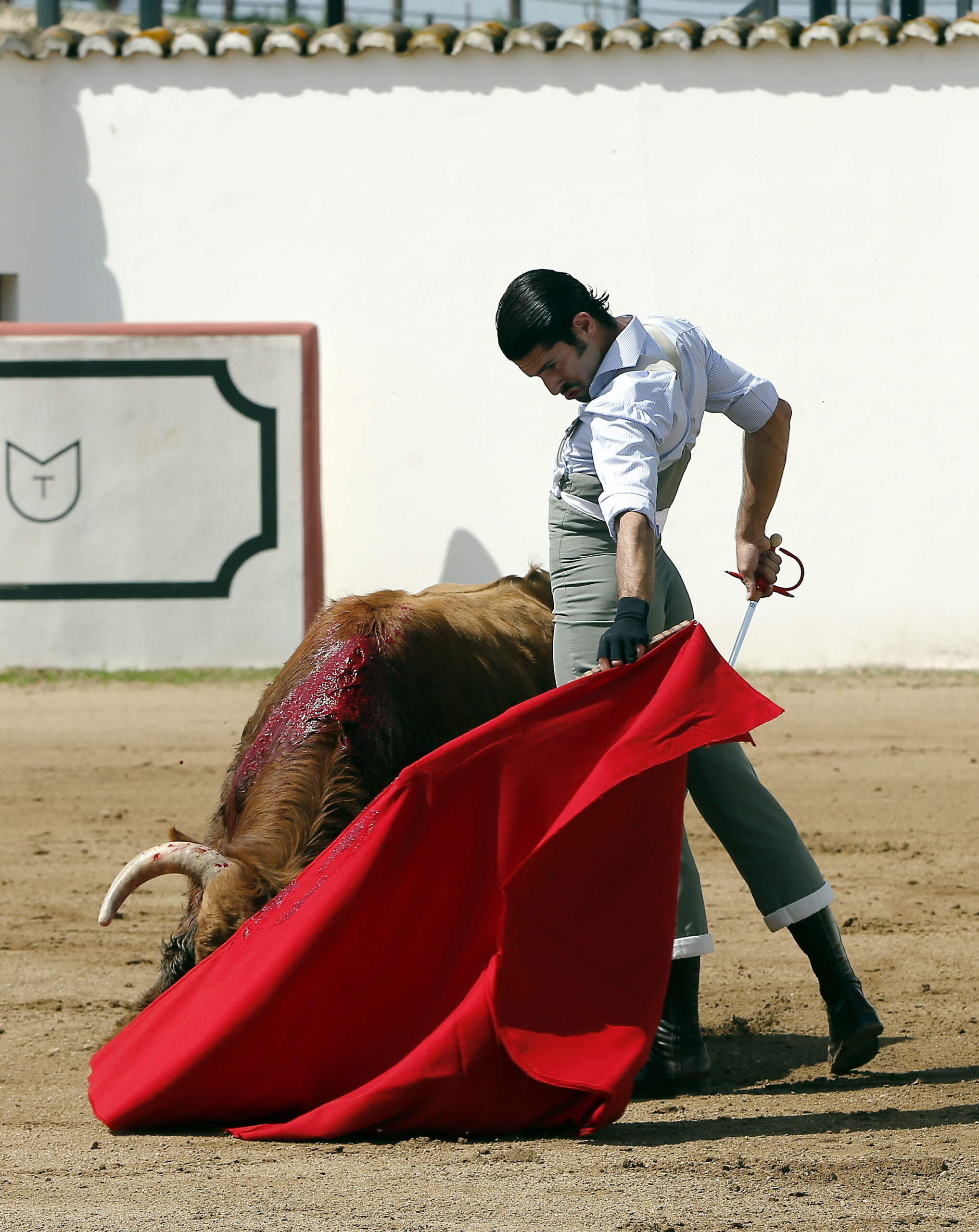 Alejandro Talavante en su finca, mayo de 2018