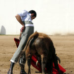 Alejandro Talavante en su finca, mayo de 2018