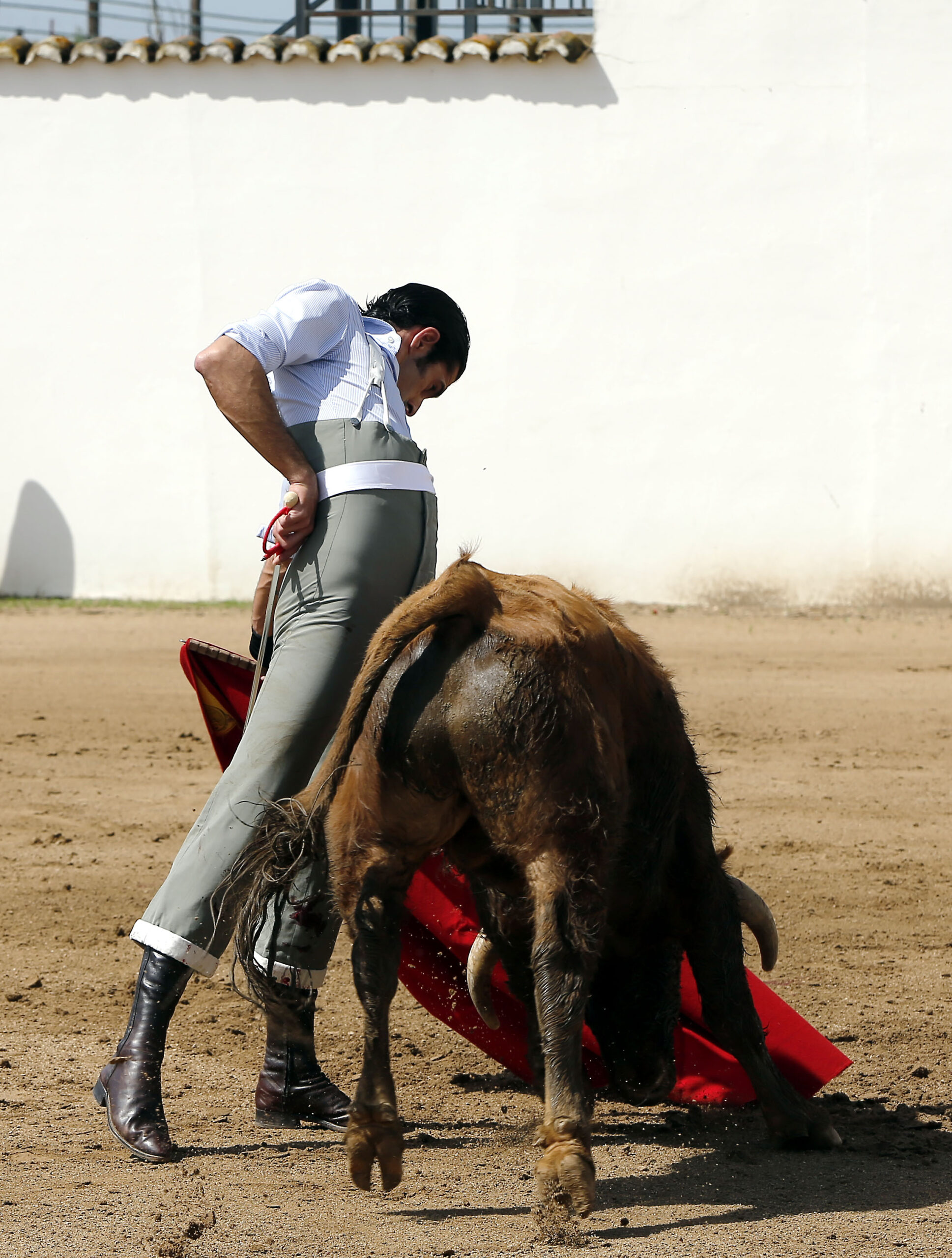 Alejandro Talavante en su finca, mayo de 2018