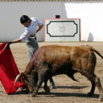 Alejandro Talavante en su finca, mayo de 2018