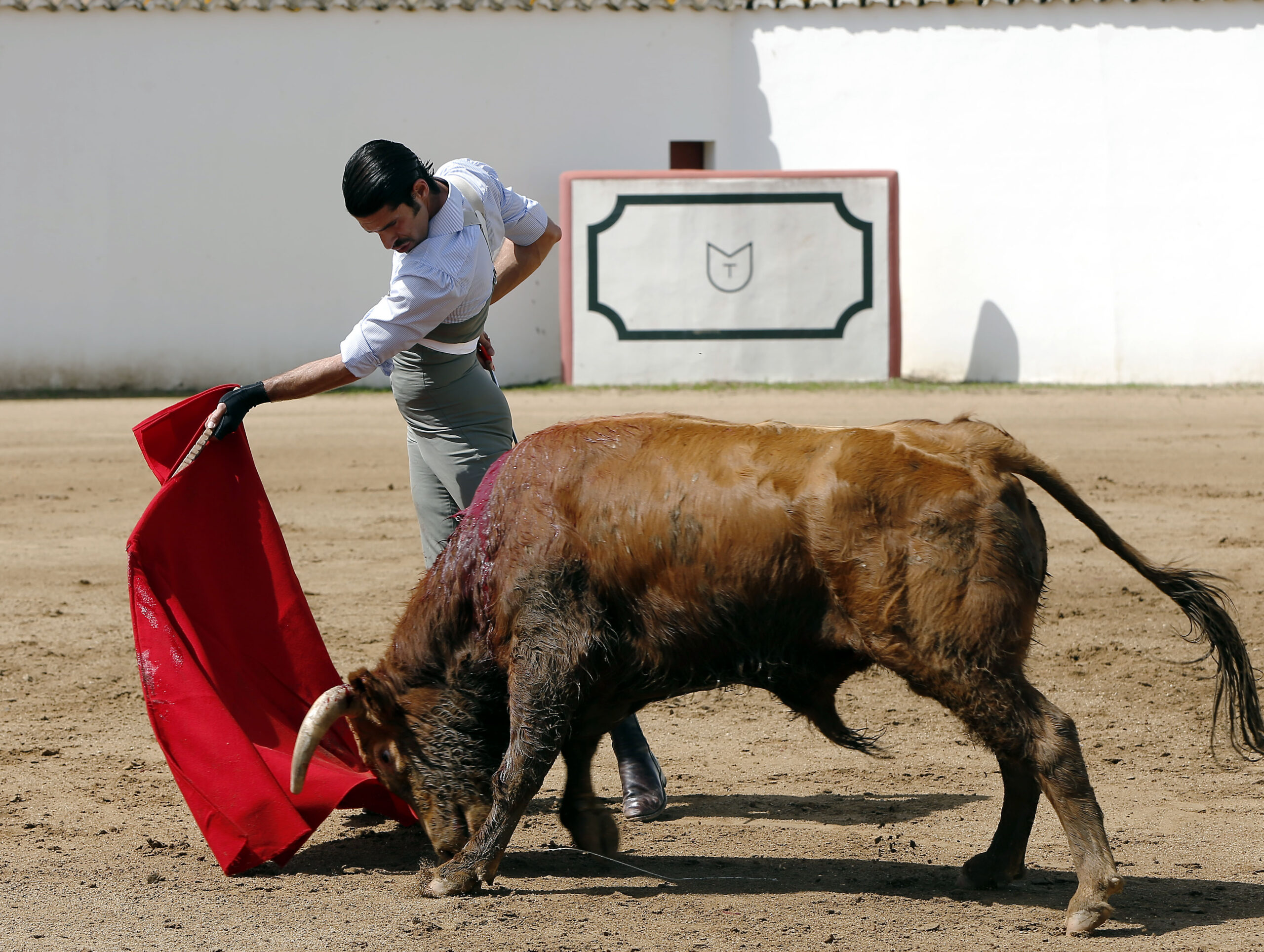 Alejandro Talavante en su finca, mayo de 2018