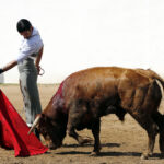 Alejandro Talavante en su finca, mayo de 2018