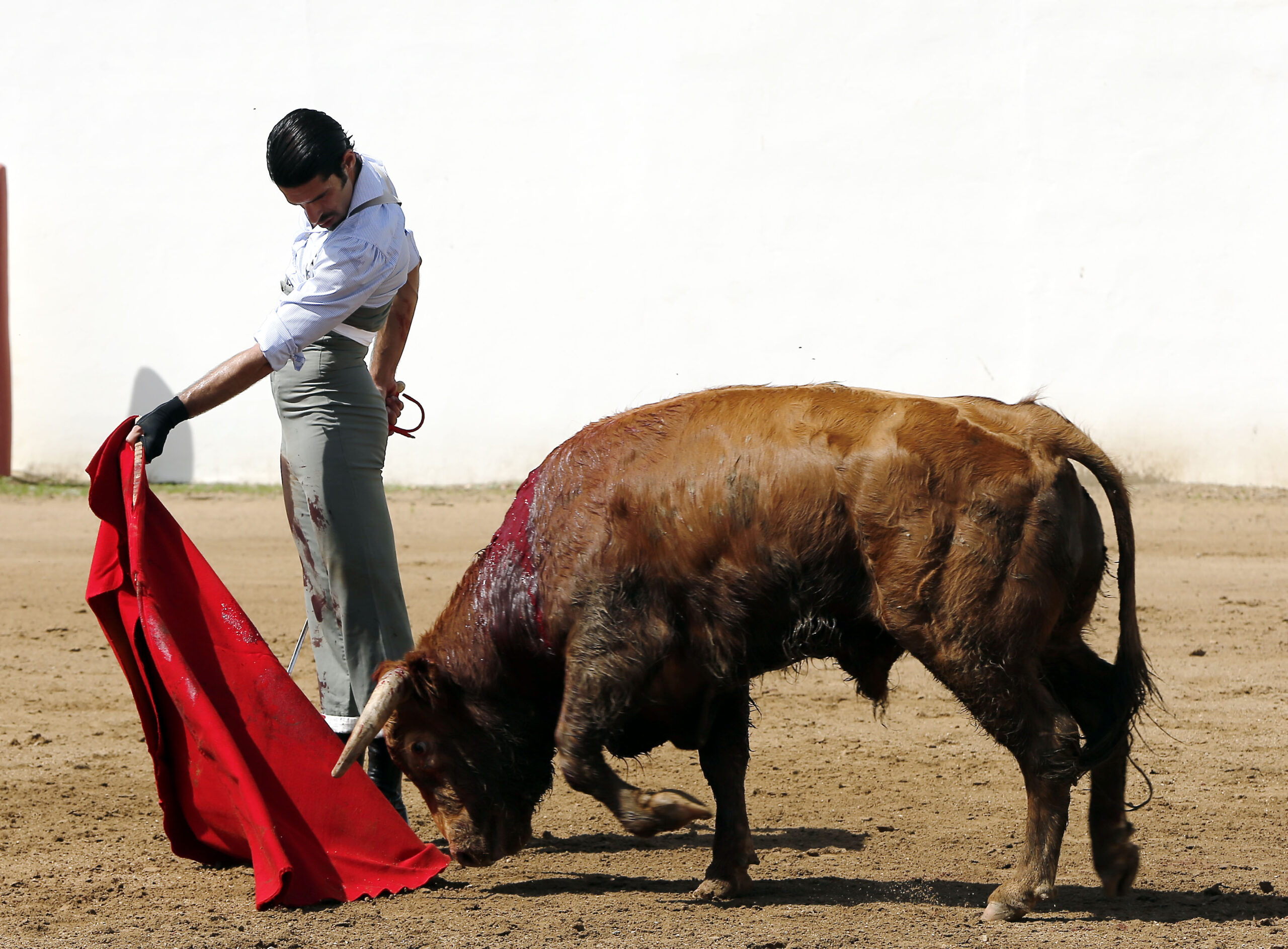 Alejandro Talavante en su finca, mayo de 2018