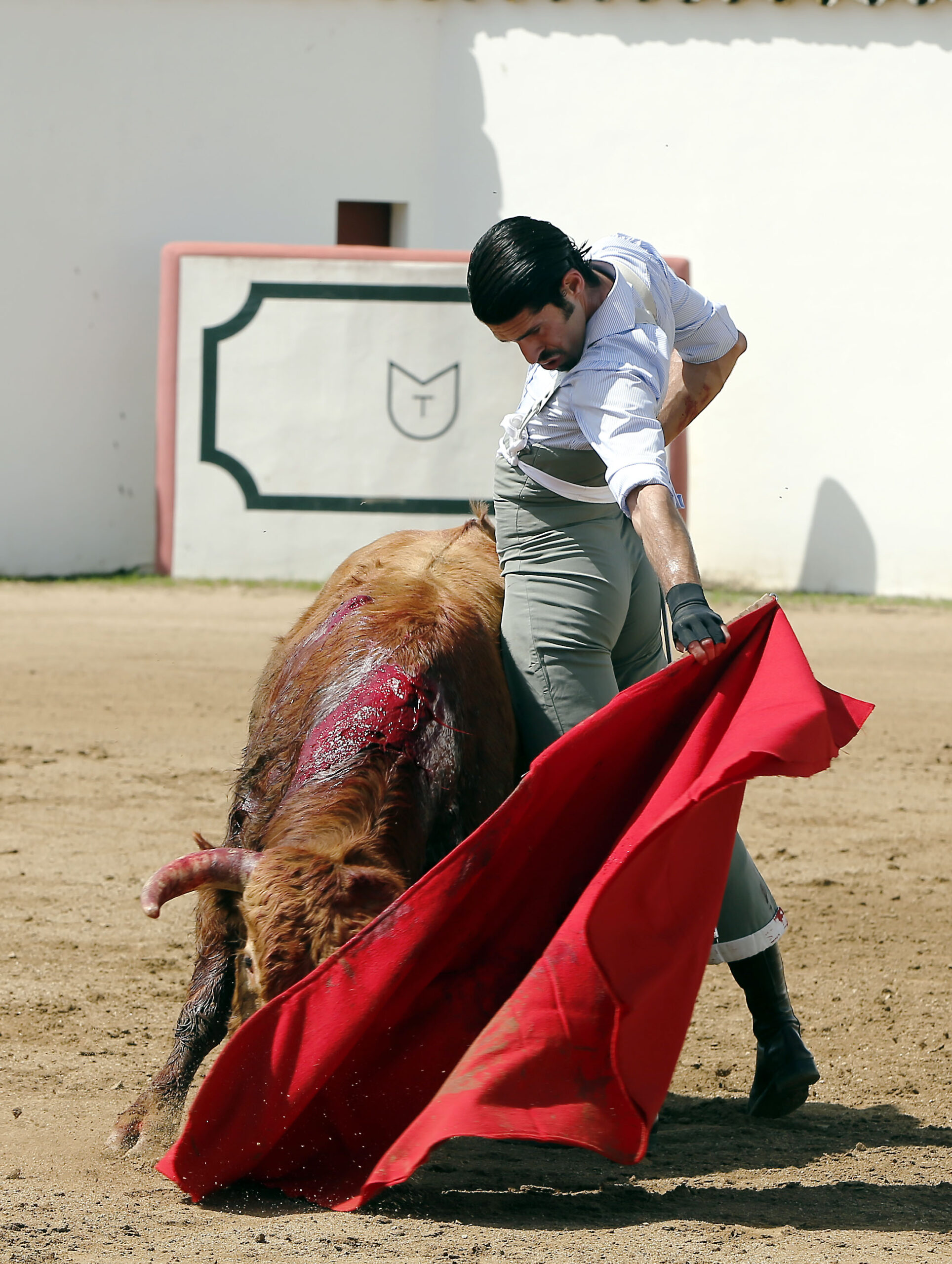 Alejandro Talavante en su finca, mayo de 2018