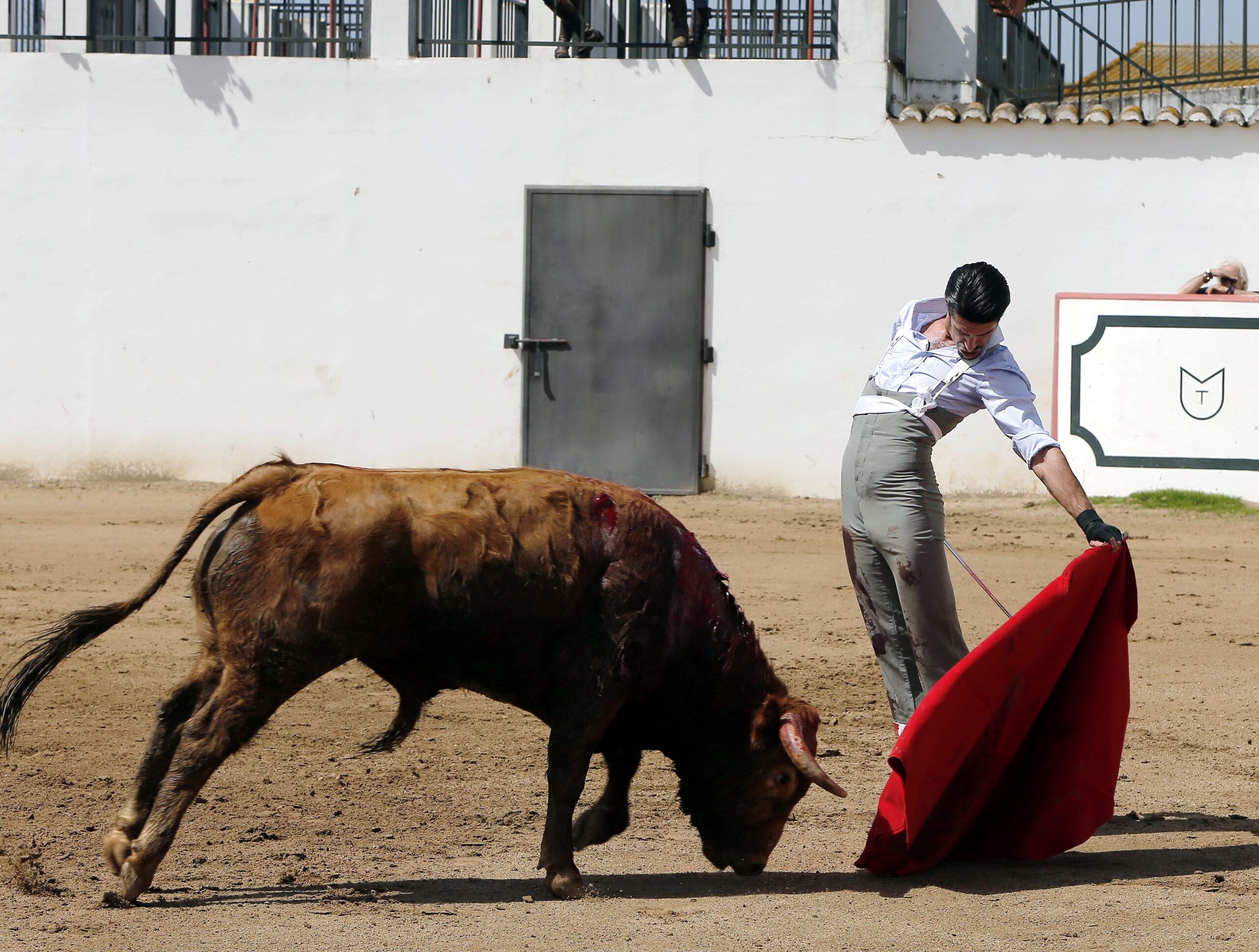 Alejandro Talavante en su finca, mayo de 2018