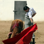 Alejandro Talavante en su finca, mayo de 2018