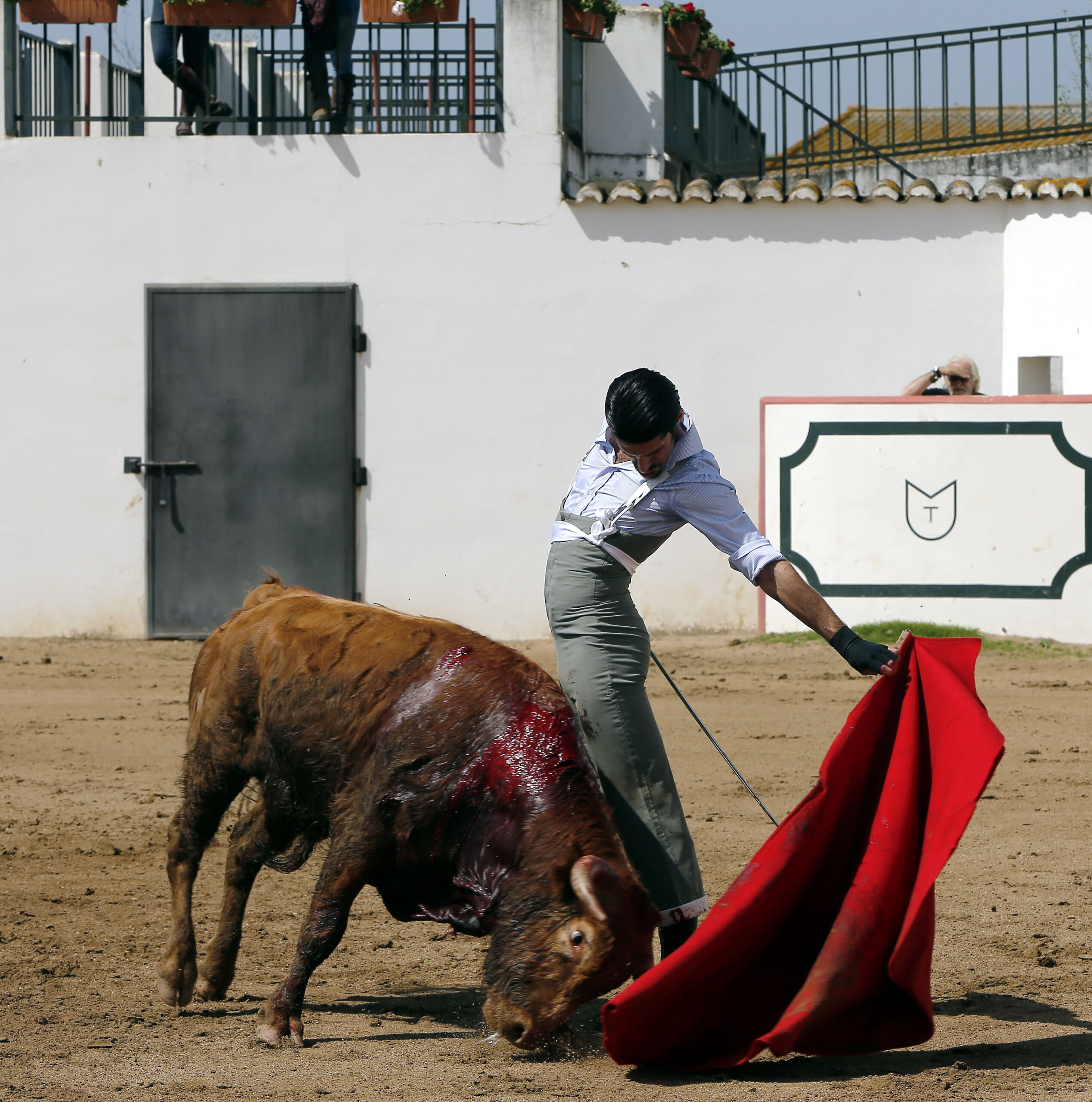 Alejandro Talavante en su finca, mayo de 2018