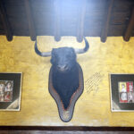 Alejandro Talavante en su finca, mayo de 2018