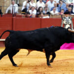 Sevilla, 6 de mayo de 2018