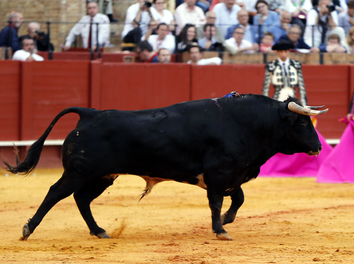 Sevilla, 6 de mayo de 2018