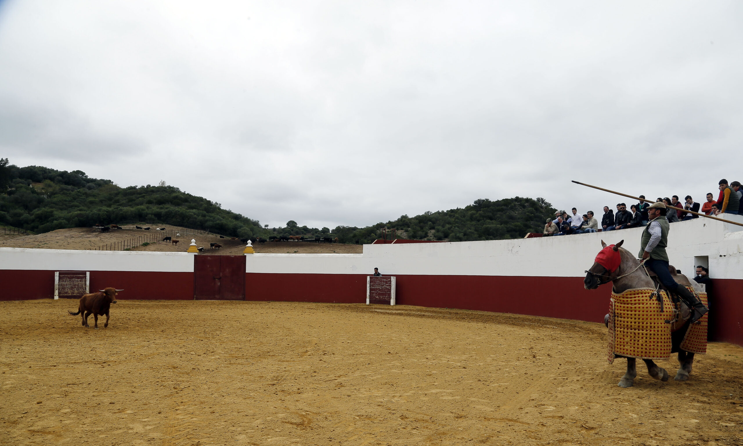 Iván Vicente, tentadero en Fuente Ymbro (Abril de 2018)