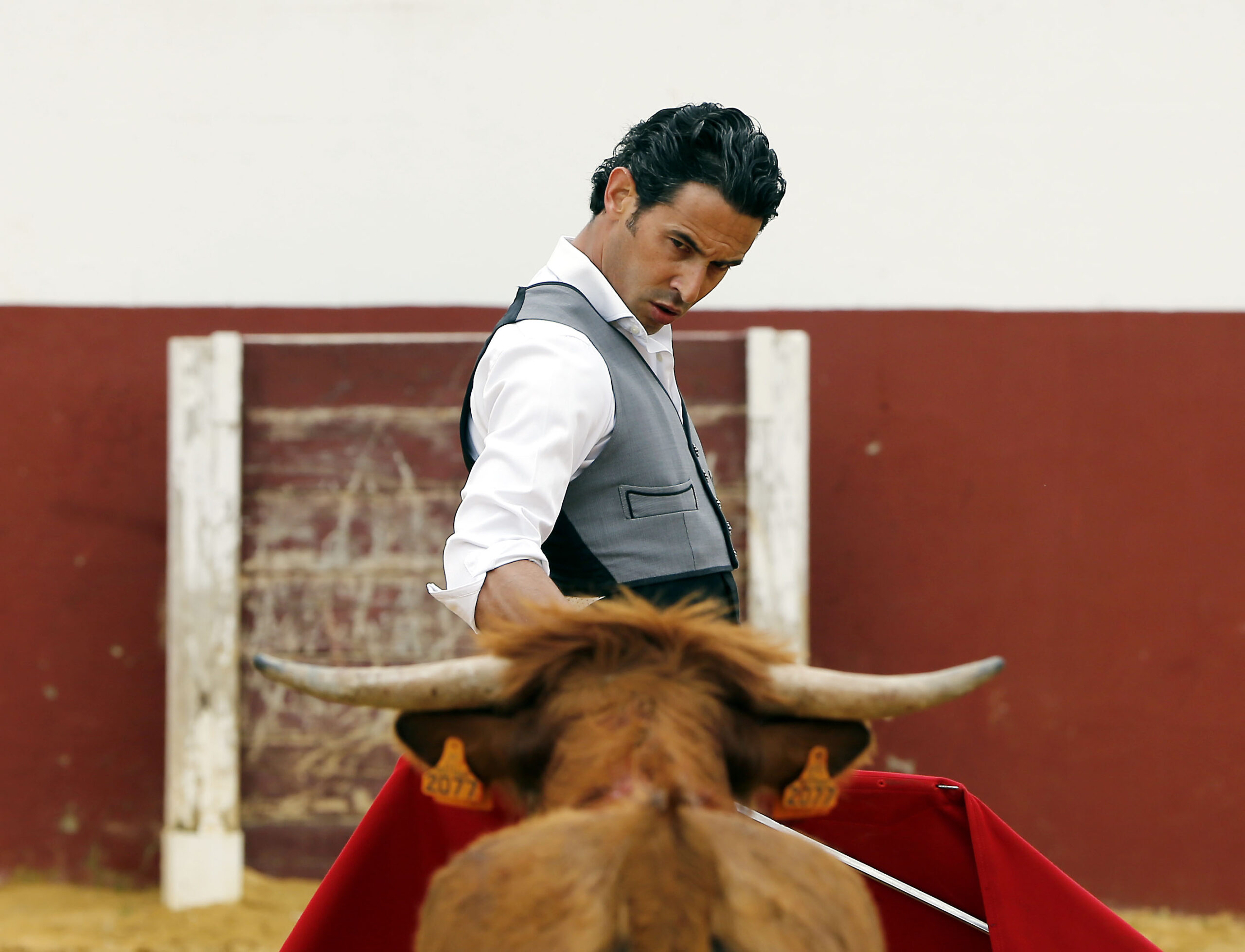 Iván Vicente, tentadero en Fuente Ymbro (Abril de 2018)